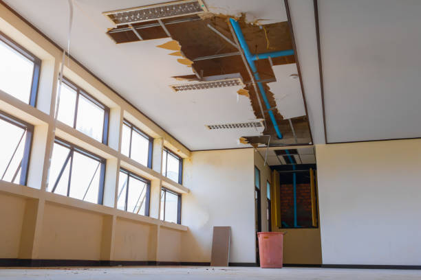 Best Flood damage cleanup  in Hillsboro, KS