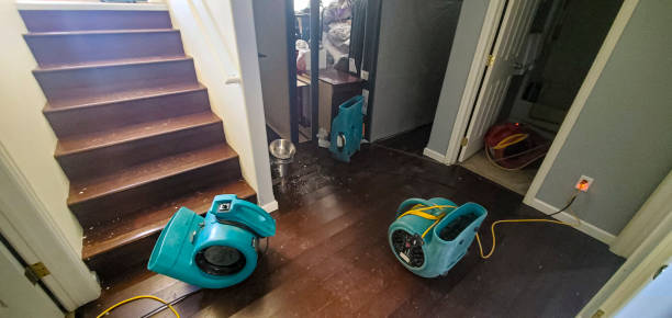 Best Water damage restoration near me  in Hillsboro, KS