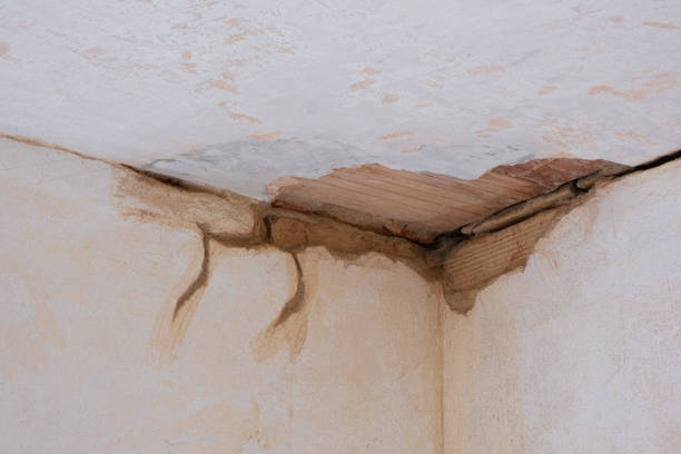 Carpet water damage restoration in Hillsboro, KS
